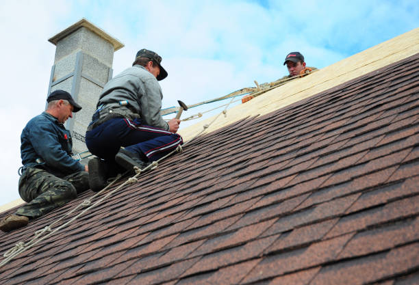 Best Roof Gutter Cleaning  in Paterson, NJ